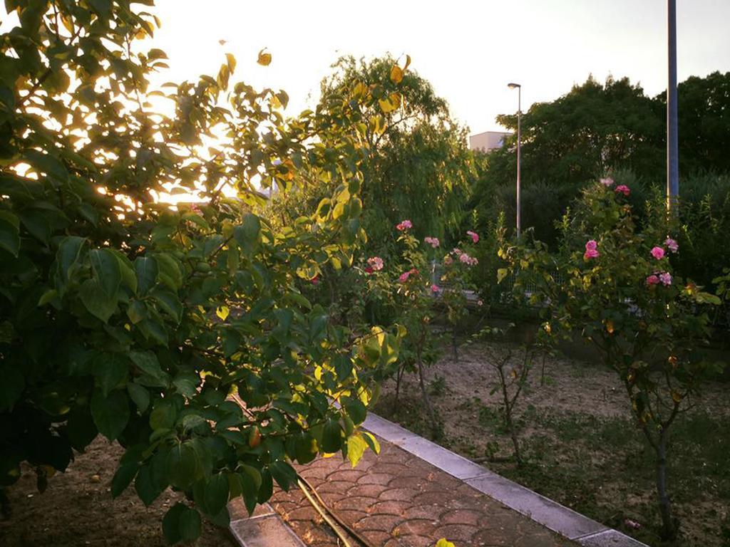 Bed and Breakfast Buon Vento Matera Exterior foto